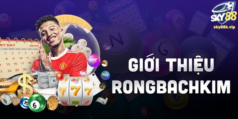 Rồng Bạch Kim - Công Cụ Bắt Cầu Lô Đề Hữu Dụng Cho Bet Thủ